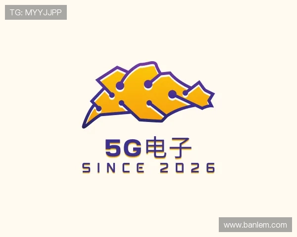 发现5G电子